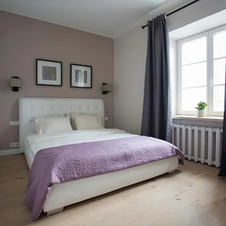Baron Lux Old Town Apartment * וילנה